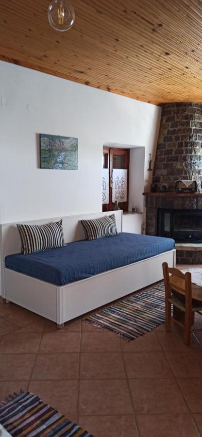 Holiday home Magnolia Traditional Stone House In Vamvakou